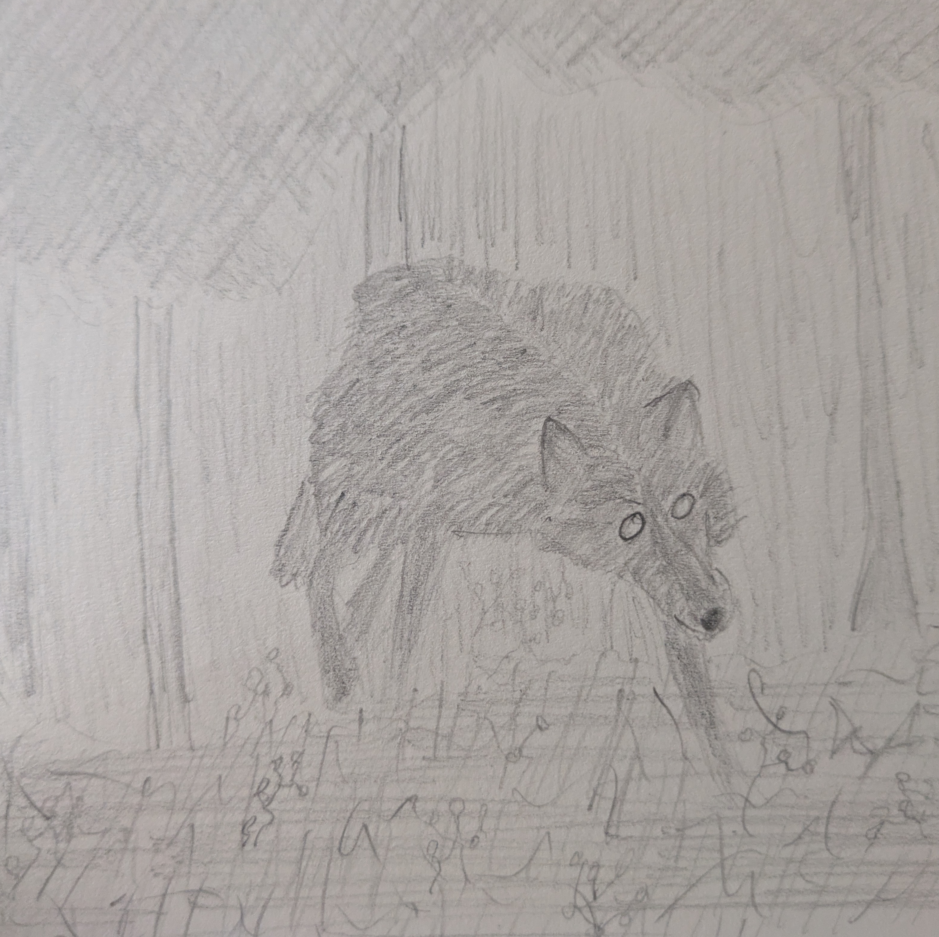 A sketch of a canine creature in the woods with huge round eyes