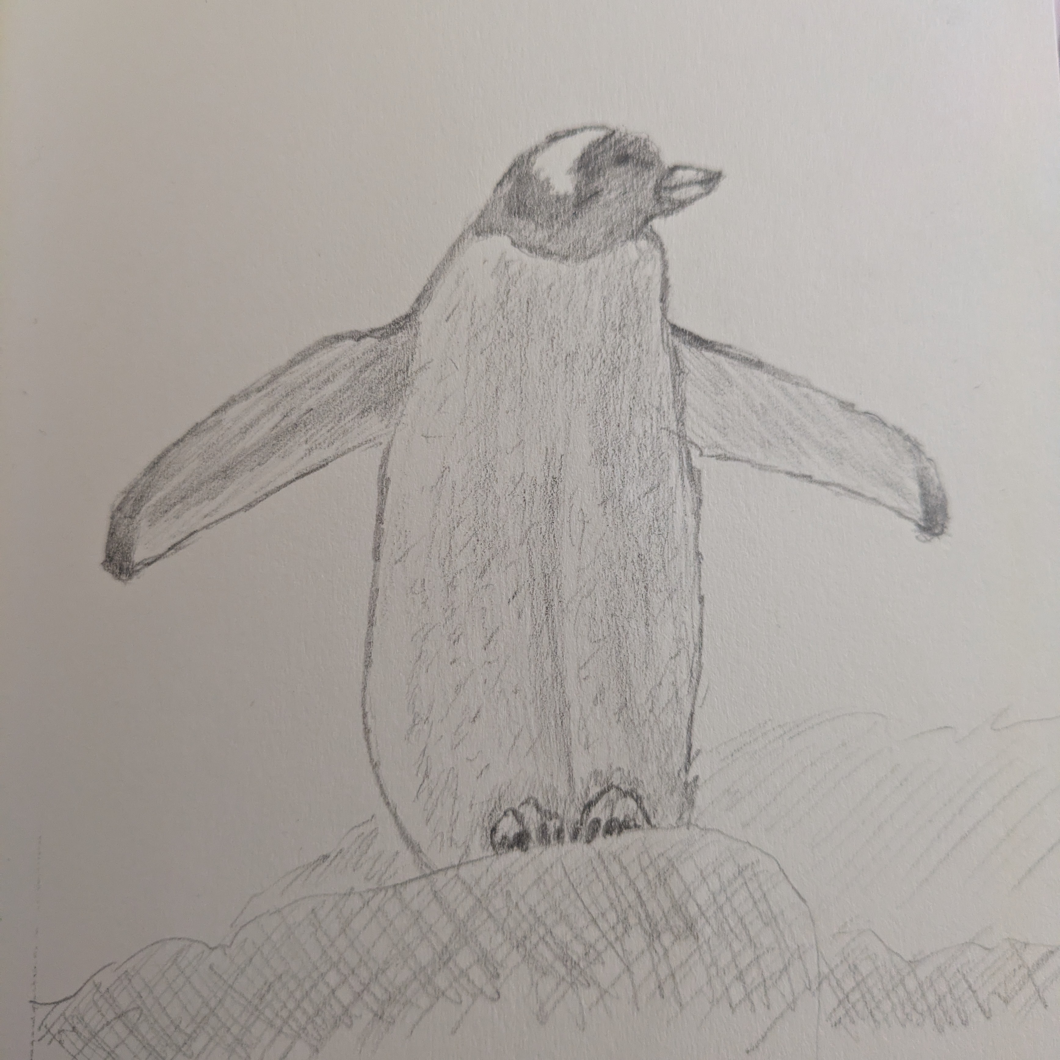 A sketch of a penguin standing on a rock.