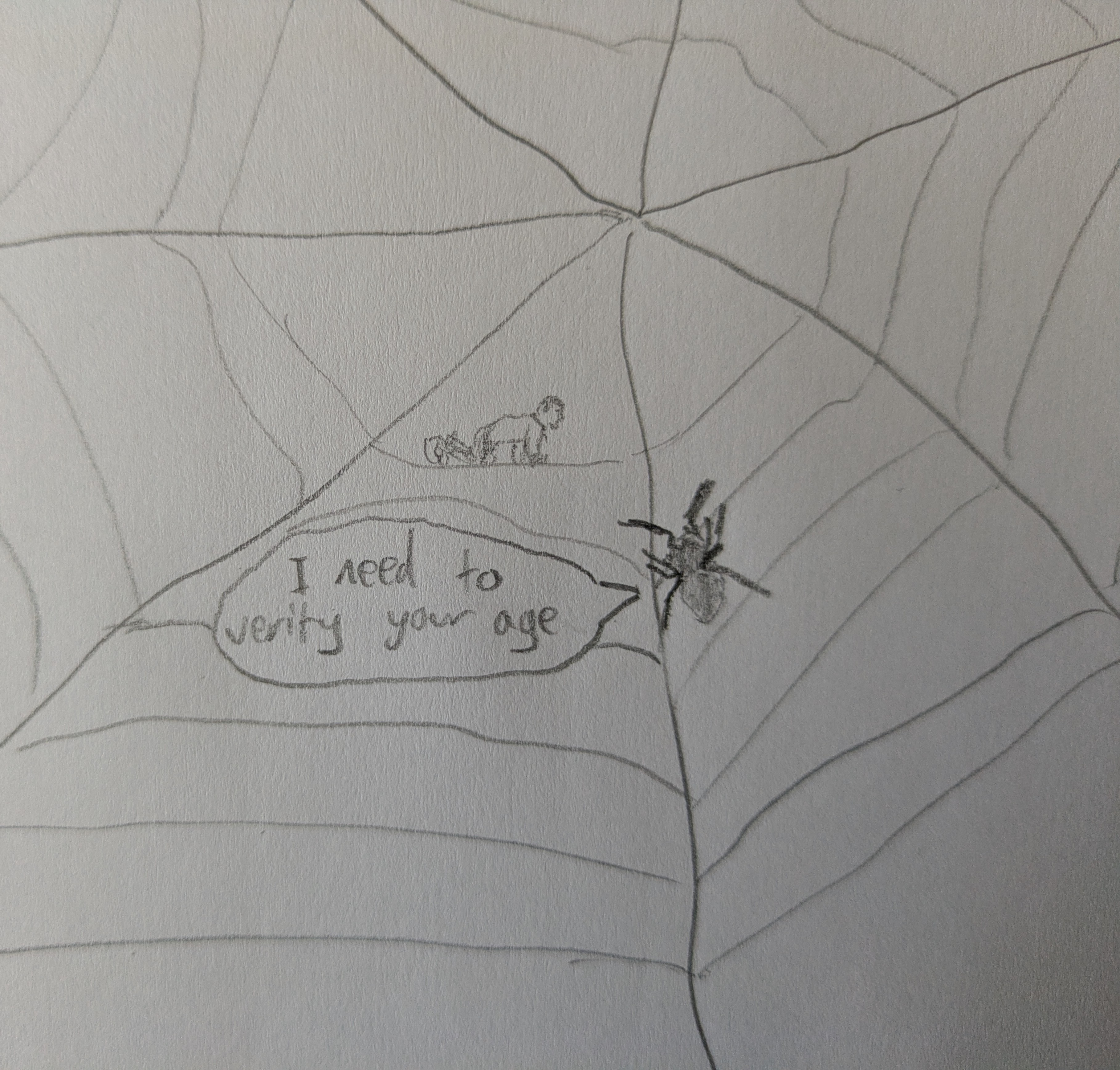 A spider on a web asking a passing man to verify his age